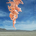 Deborah Long Photo 11