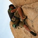 Joshua Robb Photo 15