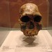 Joseph Della Photo 13