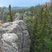 Christopher Custer Photo 17