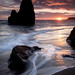 Ray Marin Photo 15