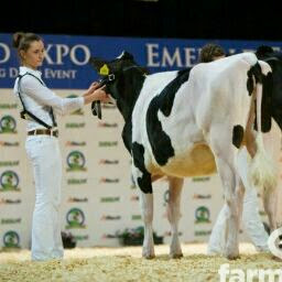 Andrea Rafferty Photo 9