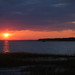 Tom Little Photo 12