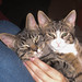 Heather Francis Photo 37