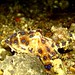 Raymond Coburn Photo 9