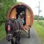 Geraldine Roberts Photo 23