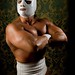 Mark Fishman Photo 14
