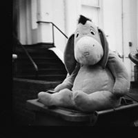 Russell Morton Photo 25