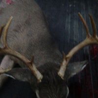 Larry Weeks Photo 10