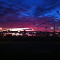 Pete Simpson Photo 13
