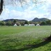 Arthur Meadows Photo 9