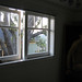 Joyce Klein Photo 11