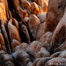Joshua Neeley Photo 12