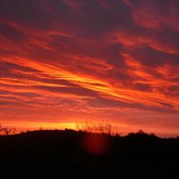 Janet Smethurst Photo 2