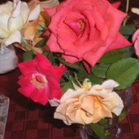 Barbara Bunting Photo 18