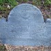 Nancy Briggs Photo 32