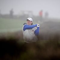 Steven Gross Photo 39