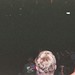 Sandra Riddle Photo 17
