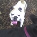 Larry Luna Photo 14