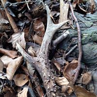 Sandy Mathes Photo 8