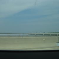 Laura Derosa Photo 5