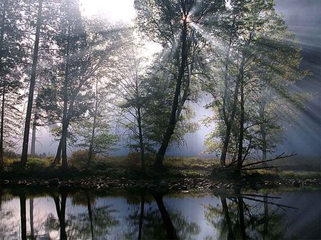 Mandy Ellis Photo 29