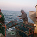Cory Sterner Photo 10