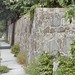 Ward Aldrich Photo 8