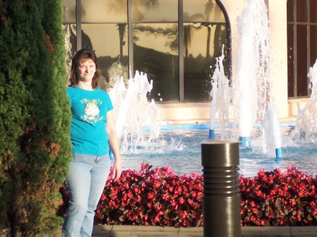 Lisa Landis Photo 13