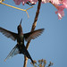 Bonita Bates Photo 11