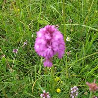 Mary Moles Photo 2
