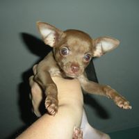 Debra Riley Photo 7