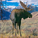 Jerry Sage Photo 10