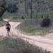 Rodney Nutter Photo 7