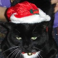 Kitty Bailey Photo 27