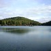 Nancy Trout Photo 5