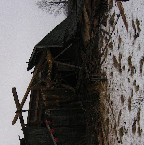Alexander Harris Photo 20
