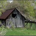 Virginia Fisher Photo 13
