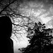 Jennifer Black Photo 52