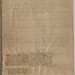 Susan Schenk Photo 17