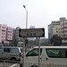 Sha Tsai Photo 9