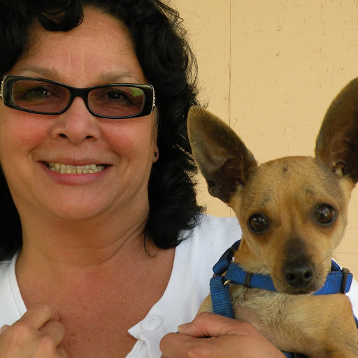 Connie Romero Photo 8