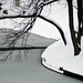 Jackie Olmstead Photo 15