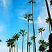 Beverly Anderson Photo 46