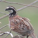 Michael Newton Photo 20