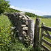 John Smail Photo 6