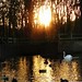 Dawn Osborne Photo 22