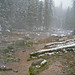 Jerry Springs Photo 12