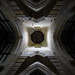 Edward Healey Photo 14
