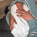 Freddy Webb Photo 9